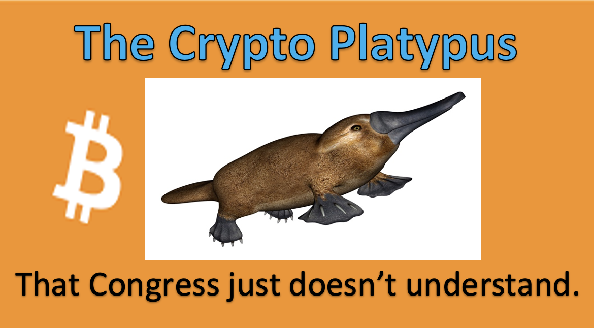 platypus coin crypto